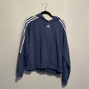 blue adidas hoodie
